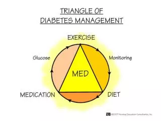 Nutrition &amp; Type I Diabetes