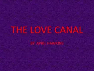 THE LOVE CANAL