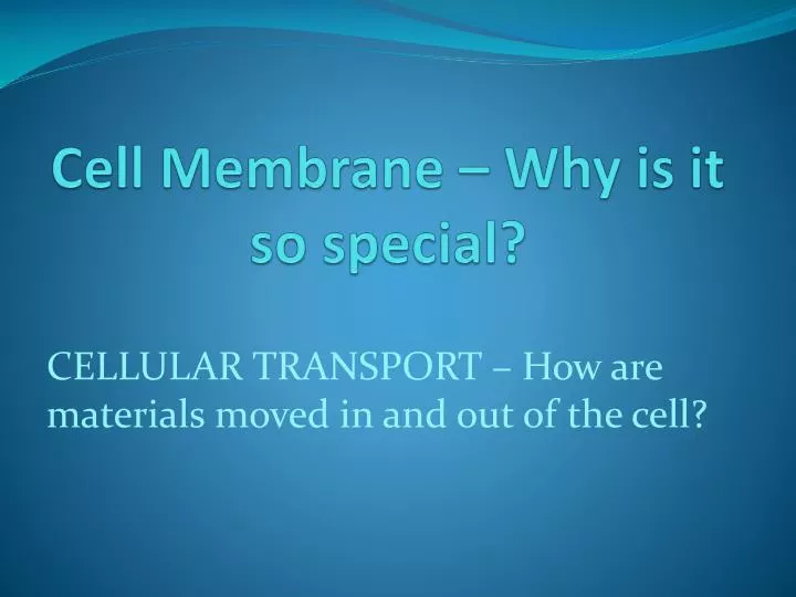 cell membrane why is it so special