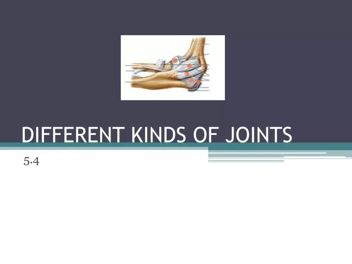 different kinds of joints