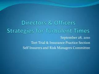 Directors &amp; Officers Strategies for Turbulent Times