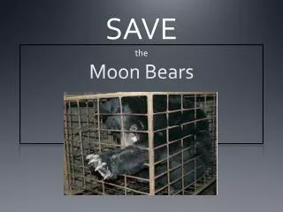 SAVE the Moon Bears