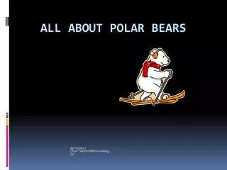 All About POLAR BEARS