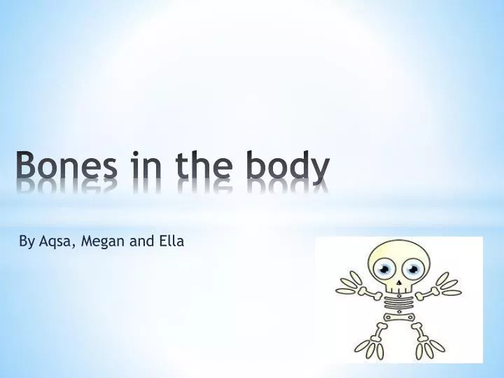 bones in the body