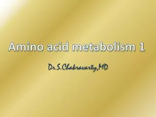 Amino acid metabolism 1