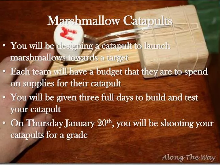 marshmallow catapults