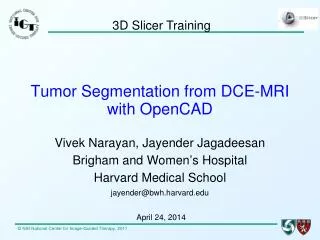 Tumor Segmentation from DCE-MRI with OpenCAD