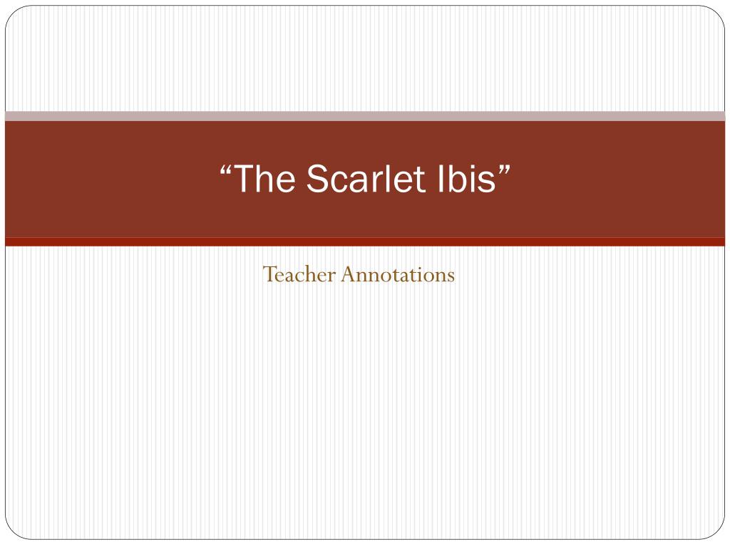 PPT - “The Scarlet Ibis” PowerPoint Presentation, free download - ID ...
