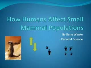 How Humans Affect Small Mammal Populations