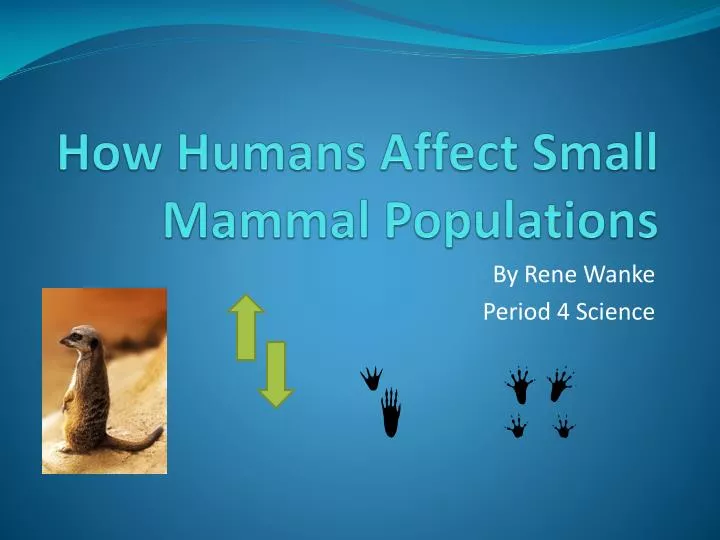 how humans affect small mammal populations