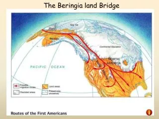 The Beringia land Bridge