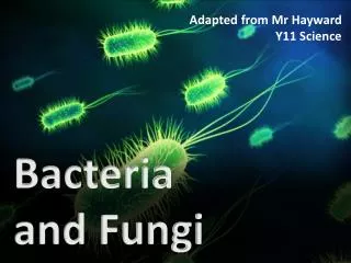 Bacteria and Fungi