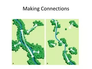 Making Connections