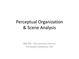 Perceptual Organization &amp; Scene A nalysis