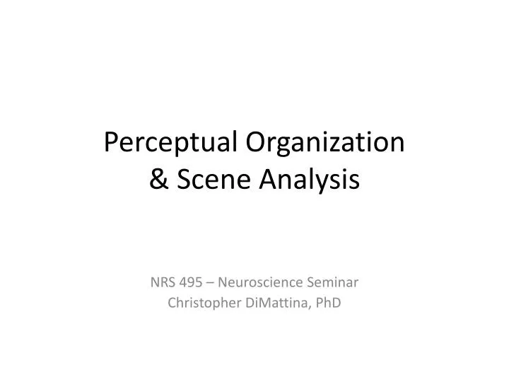 perceptual organization scene a nalysis