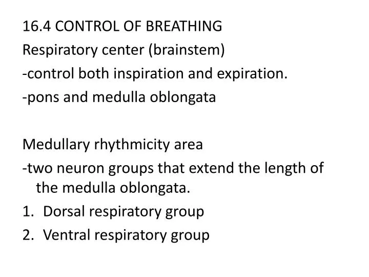 Can Just Breathing Help Your Body and Mind?