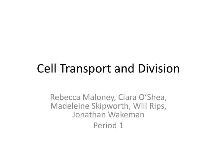 cell transport and division