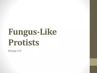 fungus like protists