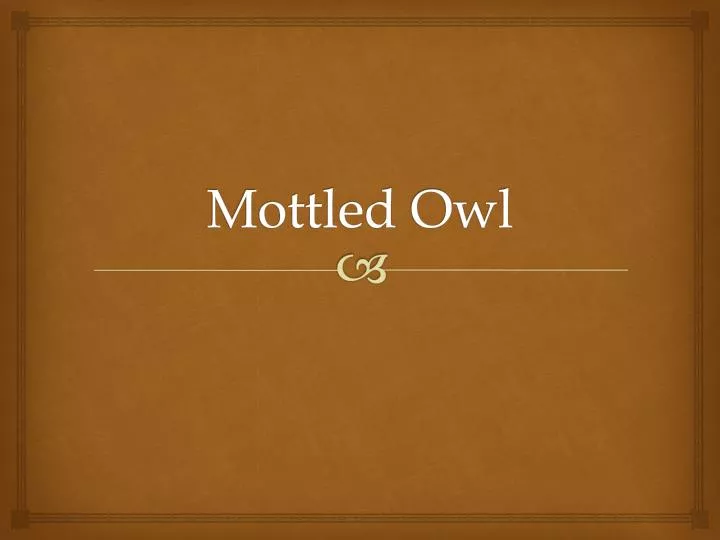 mottled owl