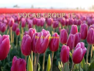 VOCAB GROUP 15