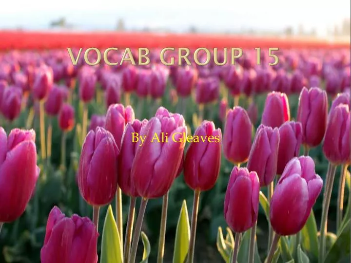 vocab group 15