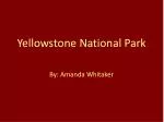 Yellowstone National Park - slide 1