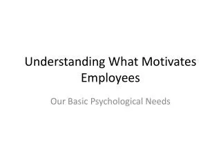 Understanding What Motivates Employees