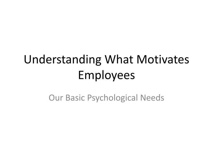 understanding what motivates employees