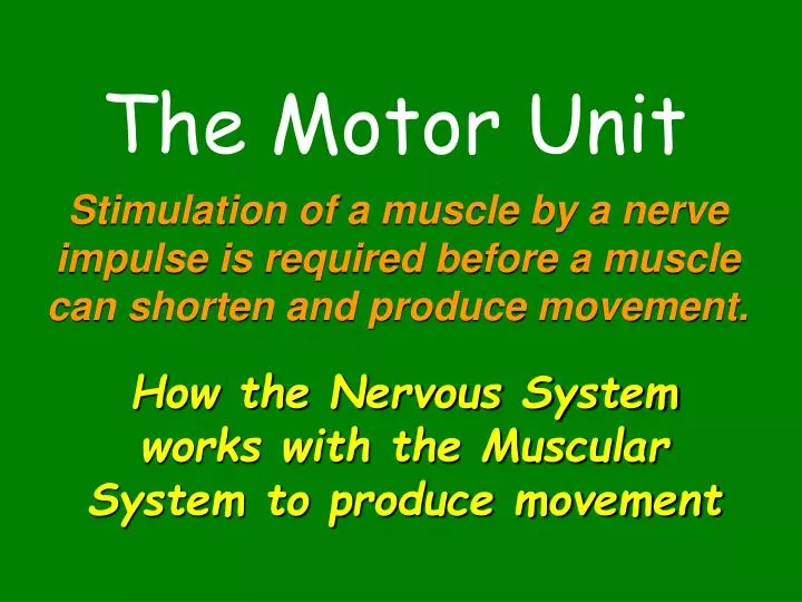 the motor unit