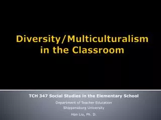 Diversity/Multiculturalism in the Classroom