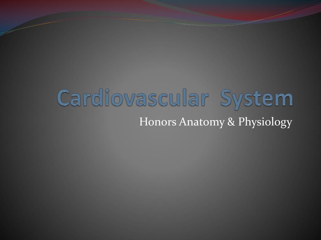 PPT - Cardiovascular System PowerPoint Presentation, free download - ID ...