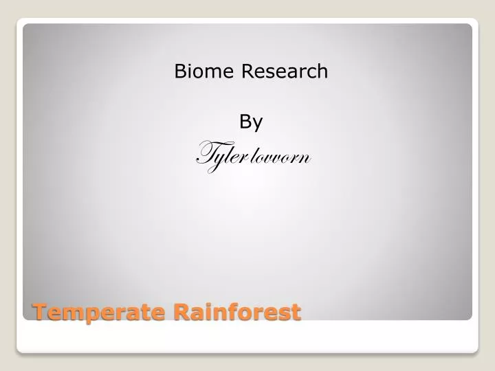 temperate rainforest