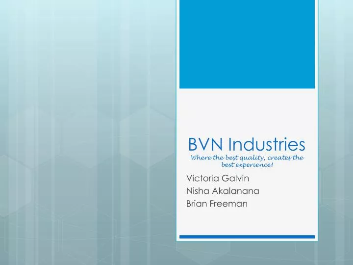 bvn industries where the best quality creates the best experience