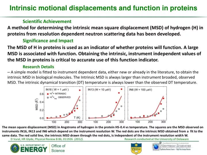 intrinsic motional displacements and function in proteins