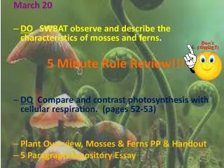 March 20 DO SWBAT observe and describe the characteristics of mosses and ferns .