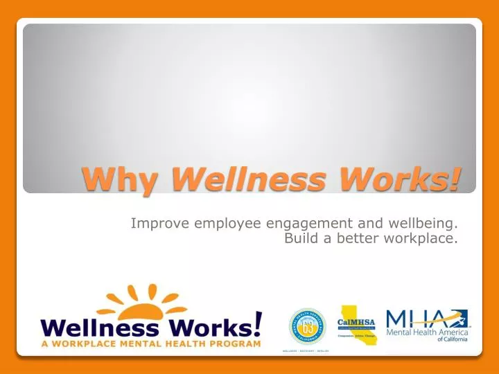 why wellness works
