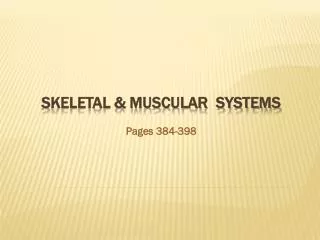 SKELETAL &amp; MUSCULAR SYSTEMS