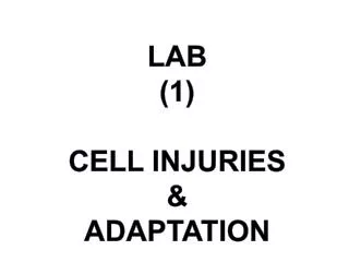 LAB (1) Cell injuries &amp; Adaptation