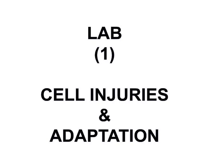 lab 1 cell injuries adaptation