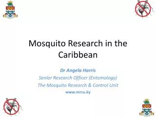 Mosquito Research in the Caribbean