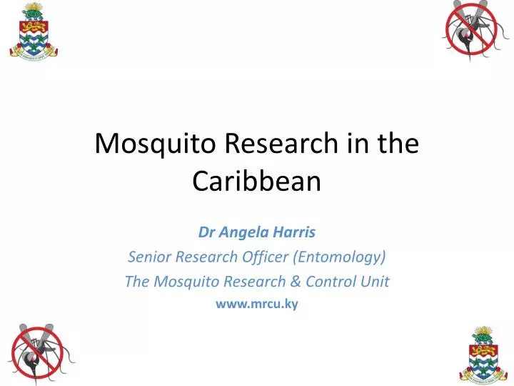 mosquito research in the caribbean