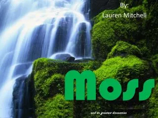 Moss and its greatest discoveries