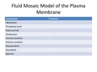 fluid mosaic model of the p lasma membrane