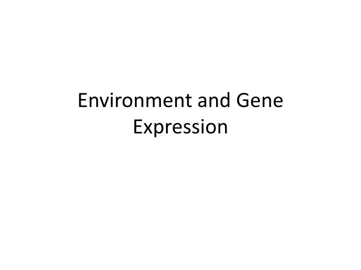 environment and gene expression