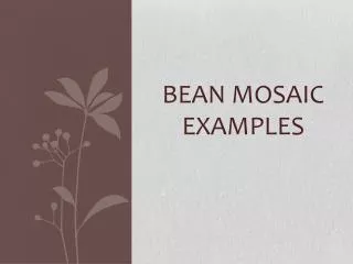 Bean Mosaic Examples