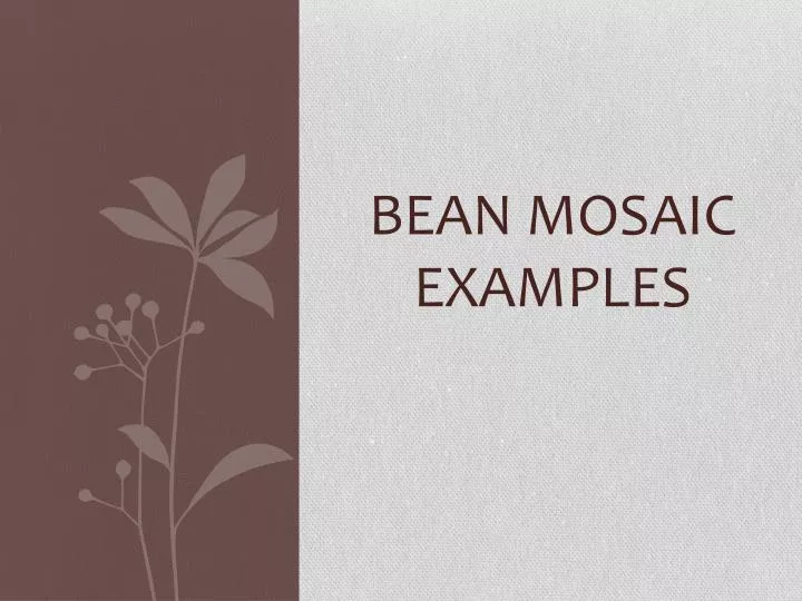 bean mosaic examples