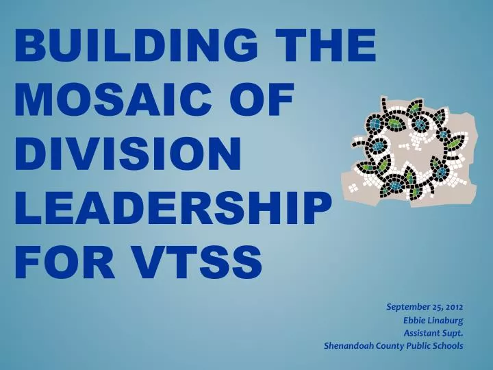 building the mosaic of division leadership for vtss
