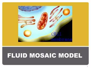 FLUID MOSAIC MODEL