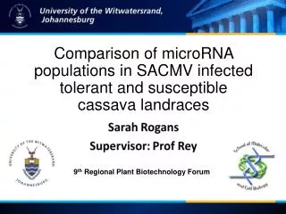 Comparison of microRNA populations in SACMV infected tolerant and susceptible cassava landraces