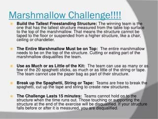 Marshmallow Challenge!!!!